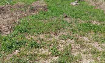 Imagem 2: TERRENO RESIDENCIAL em SALTO - SP, RESIDENCIAL PARQUE IMPERIAL