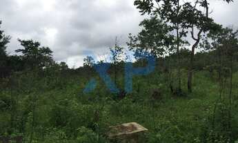 Imagem 7: FAZENDA RURAL em DIVINÓPOLIS - MG, SÃO CAETANO FAZENDA DA USINA