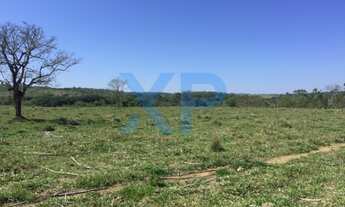 Imagem 3: FAZENDA COM 180 HA NA REGIAO DE MARILANDIA-MG