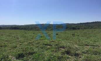 Imagem 4: FAZENDA COM 180 HA NA REGIAO DE MARILANDIA-MG