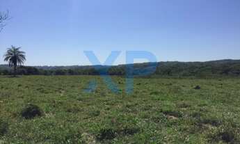 Imagem 5: FAZENDA COM 180 HA NA REGIAO DE MARILANDIA-MG