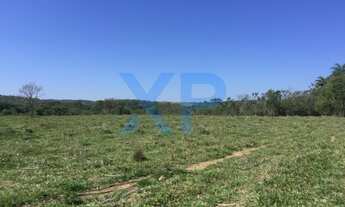 Imagem 6: FAZENDA COM 180 HA NA REGIAO DE MARILANDIA-MG