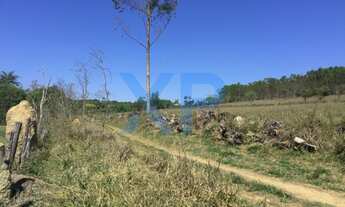 Imagem 7: FAZENDA COM 180 HA NA REGIAO DE MARILANDIA-MG