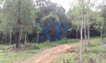 Imagem 3: TERRENO NA BEIRA DO LAGO DE FURNAS REGIÃO DE FORMIGA-MG