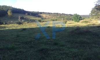 Imagem 2: FAZENDINHA A VENDA NO MUNICÍPIO DE SÃO SEBASTIÃO DO OESTE-MG