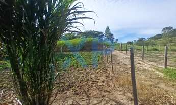 Imagem 6: FAZENDA RURAL em SANTO ANTÔNIO DOS CAMPOS - MG, ZONA RURAL
