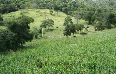 Imagem 3: SITIO RURAL em GUAPÉ - MG, Volta Grande