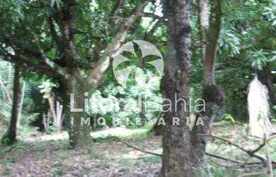 Imagem 2: 10000M² de Área Total