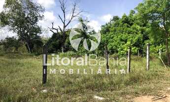 Imagem 2: 800M² de Área Total