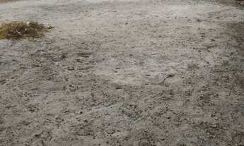 Imagem 6: 605M² de Área Total