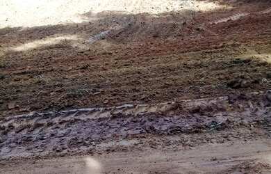 Imagem 5: Terreno Lameirão, 1250M² de Área Construída