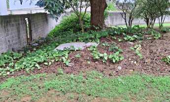 Imagem 7: TERRENO COMERCIAL em SÃO PAULO - SP, JARDIM KIOTO
