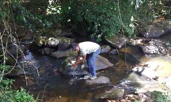 Imagem 2: FAZENDA RURAL em Jiquiriçá - BA, Zona Rural