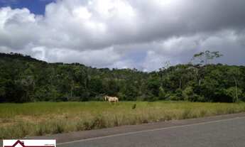 Imagem 2: GRANDE OPORTUNIDADE FAZENDA 404 TAREFAS