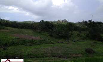 Imagem 7: GRANDE OPORTUNIDADE FAZENDA 404 TAREFAS