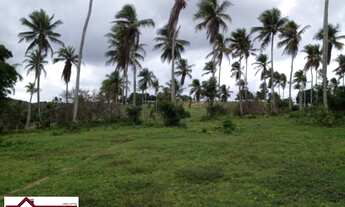 Imagem: GRANDE OPORTUNIDADE FAZENDA 404 TAREFAS