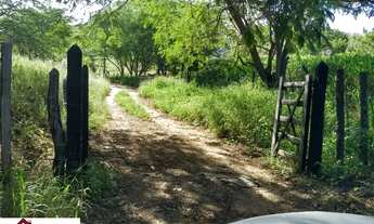 Imagem 4: FAZENDA RURAL em ITABERABA - BA, Zona Rural