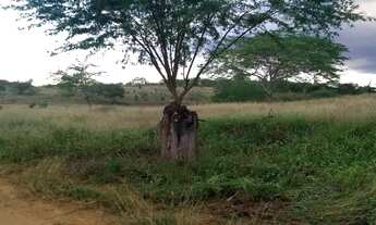 Imagem: FAZENDA RURAL em ITABERABA - BA, Zona Rural