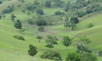 Imagem 7: MARAVILHOSA OPORTUNIDADE FAZENDA EM MARAGOGIPE 120TA