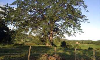 Imagem 4: SÍTIO EM CANDEIAS