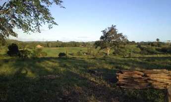 Imagem 3: SÍTIO EM CANDEIAS