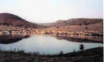 Imagem 3: ÓTIMA FAZENDA DE 5.900 TA