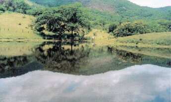 Imagem 6: ÓTIMA FAZENDA DE 5.900 TA