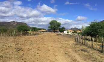 Imagem 5: ÓTIMA FAZENDA DE 5.900 TA