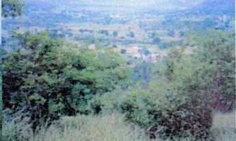 Imagem 7: ÓTIMA FAZENDA DE 5.900 TA