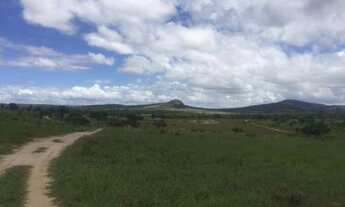 Imagem 4: ÓTIMA FAZENDA DE 5.900 TA