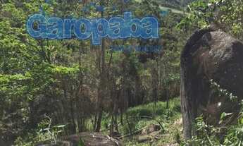 Imagem 2: GAROPABA-SC, VENDO ÁREA DE 50.617M2, ou 5,61HA, MÉDIA 40M DE LARGURA X 1.259M, ENERGIA E