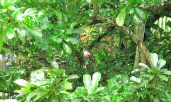 Imagem 5: Pousada a 20 metros da areia da praia