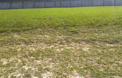 Imagem 2: TERRENOS À VENDA ALPHAVILLE LITORAL NORTE I, A PARTIR DE R$ 702.990,00. VÁRIAS OPÇÕES