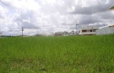 Imagem 3: TERRENOS À VENDA ALPHAVILLE LITORAL NORTE I, 540,00 M², A PARTIR DE R$ 702.990,00. VÁRIAS