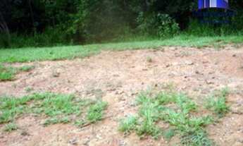 Imagem 7: TERRENO À VENDA ALPHAVILLE SALVADOR I, LOTES A PARTIR DE R$ 2.260.000,00. VÁRIAS OPÇÕES EM