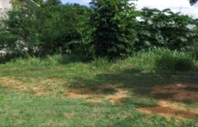 Imagem 4: TERRENOS À VENDA ALPHAVILLE SALVADOR I, A PARTIR DE R$ 2.325.000,00, VÁRIAS OPÇÕES EM TOD