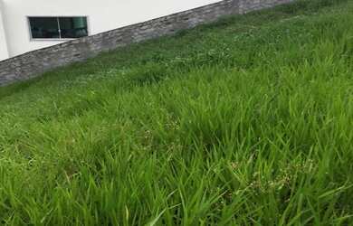 Imagem 7: TERRENOS À VENDA EM ALPHAVILLE II SALVADOR, 600 M², A PARTIR DE R$ 1.540.000,00, VÁRIAS OP