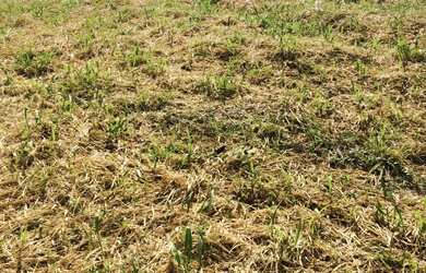 Imagem 5: TERRENO À VENDA EM ALPHAVILLE II SALVADOR, VÁRIAS OPÇÕES A PARTIR DE R$ 1.435.000,00! AGEN