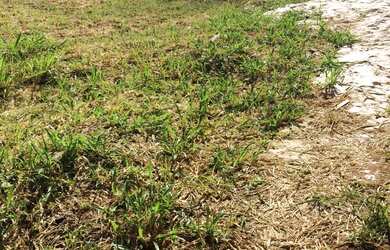 Imagem 4: TERRENO À VENDA EM ALPHAVILLE II SALVADOR, VÁRIAS OPÇÕES A PARTIR DE R$ 1.435.000,00! AGEN