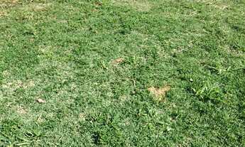 Imagem 7: TERRENO À VENDA EM ALPHAVILLE II SALVADOR, VÁRIAS OPÇÕES, A PARTIR DE R$ 1.420.000,00. AGE