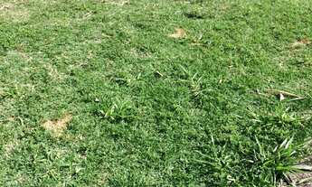 Imagem 5: TERRENO À VENDA EM ALPHAVILLE II SALVADOR, VÁRIAS OPÇÕES, A PARTIR DE R$ 1.420.000,00. AGE