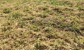 Imagem 3: TERRENO À VENDA EM ALPHAVILLE II SALVADOR, VÁRIAS OPÇÕES, A PARTIR DE R$ 1.420.000,00. AGE