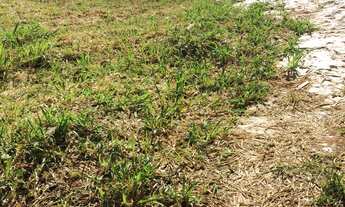 Imagem 2: TERRENO À VENDA EM ALPHAVILLE II SALVADOR, VÁRIAS OPÇÕES, A PARTIR DE R$ 1.420.000,00. AGE