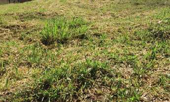 Imagem 4: TERRENO À VENDA EM ALPHAVILLE II SALVADOR, VÁRIAS OPÇÕES, A PARTIR DE R$ 1.420.000,00. AGE