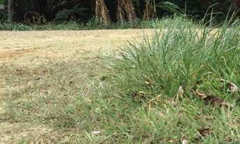 Imagem 6: ALPHAVILLE SALVADOR I TERRENOS À VENDA A PARTIR DE R$ 2.440.000,00! OPÇÕES EM TODAS AS POR