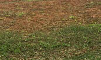 Imagem 2: TERRENO À VENDA ALPHAVILLE II SALVADOR, A PARTIR DE R$ 1.590.000,00, VÁRIAS OPÇÕES. AGENDE