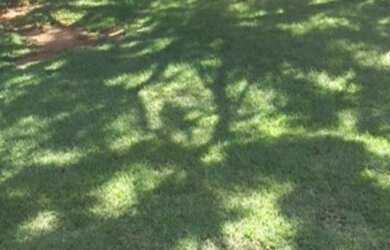 Imagem 5: TERRENOS À VENDA ALPHAVILLE SALVADOR I, A PARTIR DE R$ 2.565.000,00, MUITAS OPÇÕES EM TODA