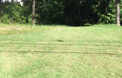 Imagem 7: TERRENOS À VENDA ALPHAVILLE SALVADOR I, A PARTIR DE R$ 2.565.000,00, MUITAS OPÇÕES EM TODA