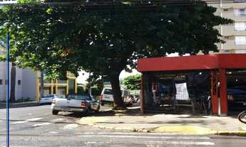 Imagem: TERRENO para Venda JARDIM PAULISTANO, RIBEIRÃO