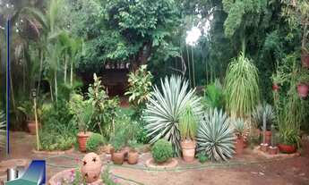 Imagem: Casa em Ribeirão Preto à Venda